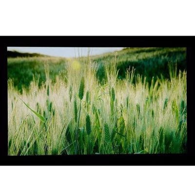 10.1 &quot; LCM  1024×600RGB   350 cd/m2   LQ101W3LG01  날카로운  TFT LCD 디스플레이