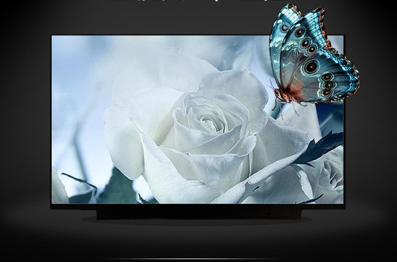 M133NVF3 R0 IVO 13.3&quot; 1920 ((RGB) × 1080, 300 (cd/m2) 산업용 LCD 디스플레이
