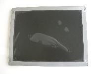 TM057KDH01-00 티안마 5.7 인치 320(RGB)×240 400 cd/m2 INDUSTRIAL LCD 디스플레이