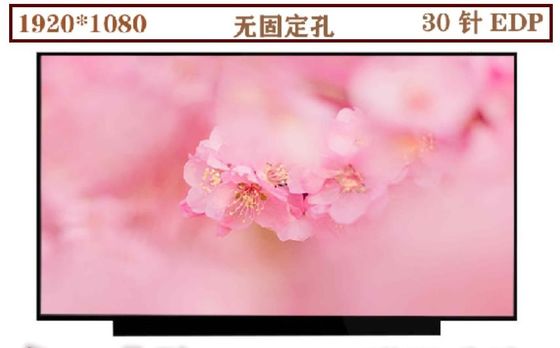 N133HCE-EN1 이루스 13.3 &quot; 1920(RGB)×1080 330 cd/m2 산업적 LCD 디스플레이
