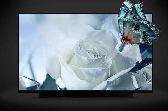 N161HCA-EA3 이루스 16.1 &quot; 1920(RGB)×1080 300 cd/m2 산업적 LCD 디스플레이