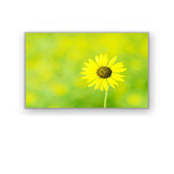 4.0 &quot; 320×240 4700 cd/M2 산업적 LCD 디스플레이 HSD040I3N1-B00 한킨스타
